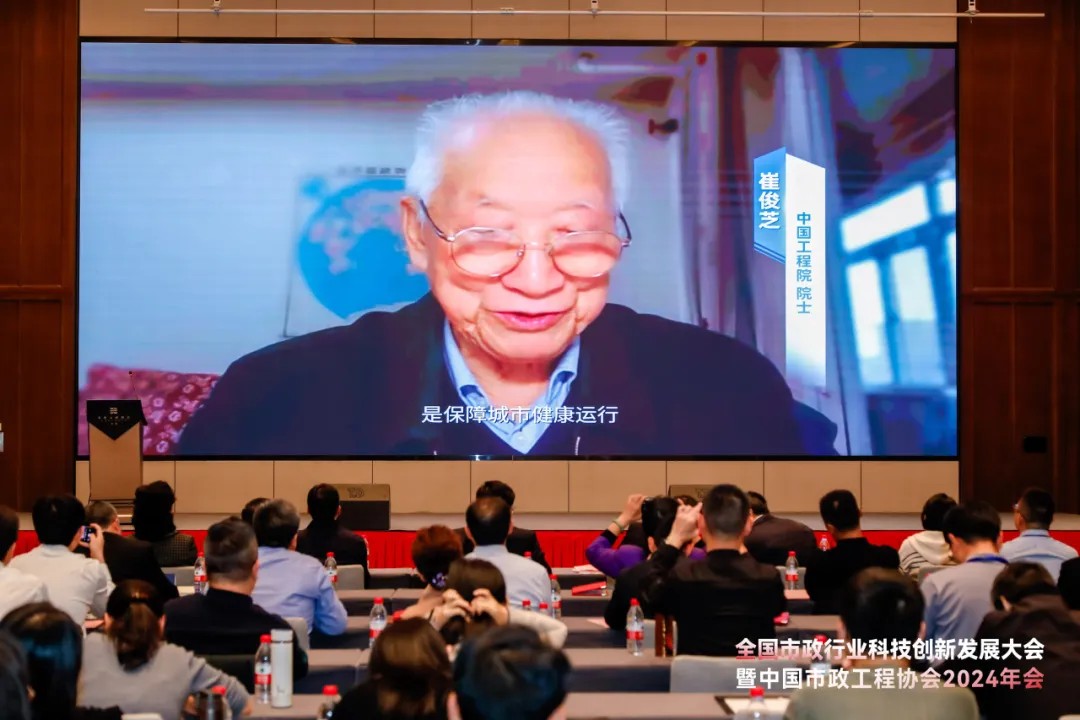 1733103245729672.jpg 10.jpg